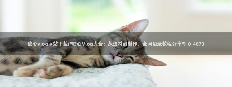 糖心vlog综合：糖心vlog网站下载(\