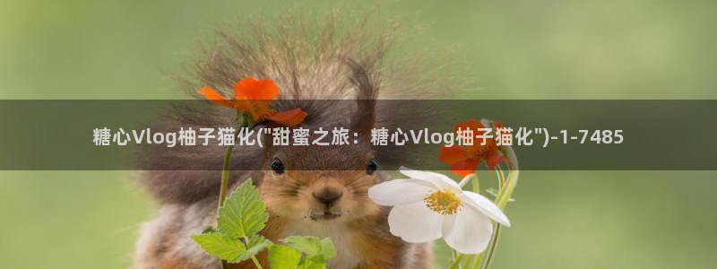 糖心vlog颜值：糖心Vlog柚子猫化(\