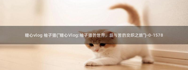 国产糖心vlog网址：糖心vlog 柚子猫(\
