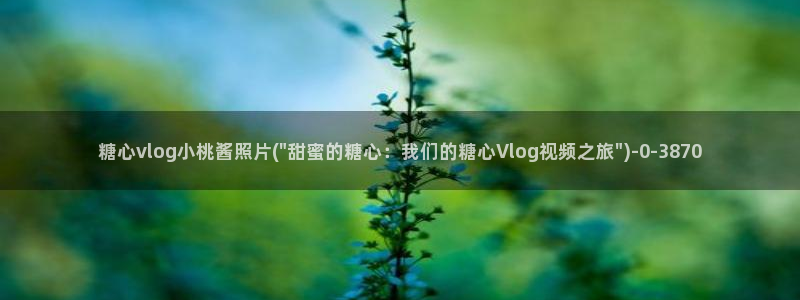 糖心vlog包子视频：糖心vlog小桃酱照片(\