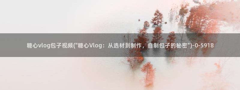 黄瓜糖心vlog：糖心vlog包子视频(\
