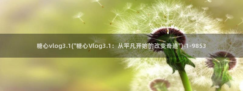 糖心vlog兔全套：糖心vlog3.1(\