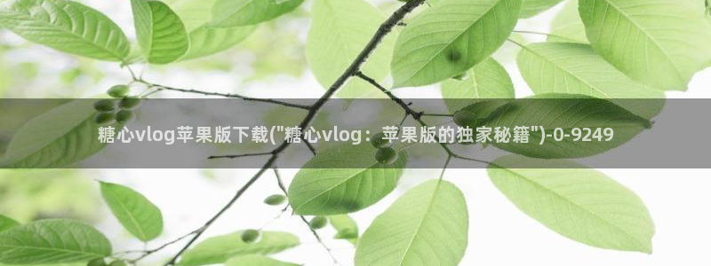 糖心vlog帐号凭证：糖心vlog苹果版下载(\