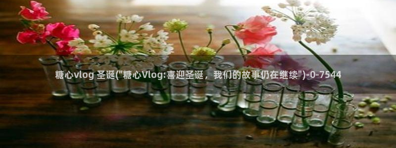 糖心vlog白发女：糖心vlog 圣诞(\